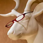بيت ضيافة غاستهاوس - بنسيون رايتركلوز